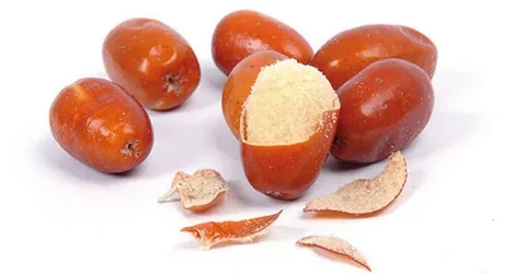 تصویر 3 از سنجد خرمایی تازه با کیفیت مناسب مصرف روزانه